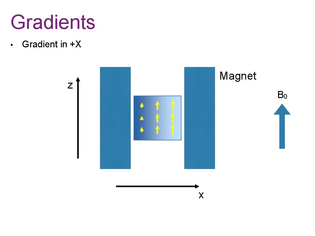 Gradients • Gradient in +X Magnet z B 0 x 
