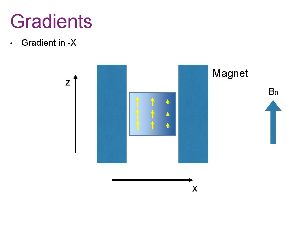 Gradients • Gradient in -X Magnet z B 0 x 