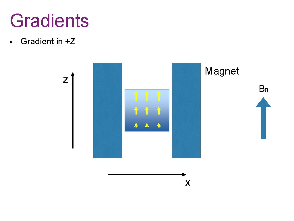 Gradients • Gradient in +Z Magnet z B 0 x 