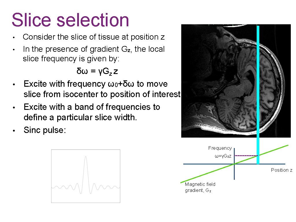 Slice selection • • • Consider the slice of tissue at position z In