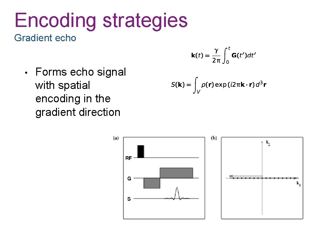 Encoding strategies Gradient echo • Forms echo signal with spatial encoding in the gradient