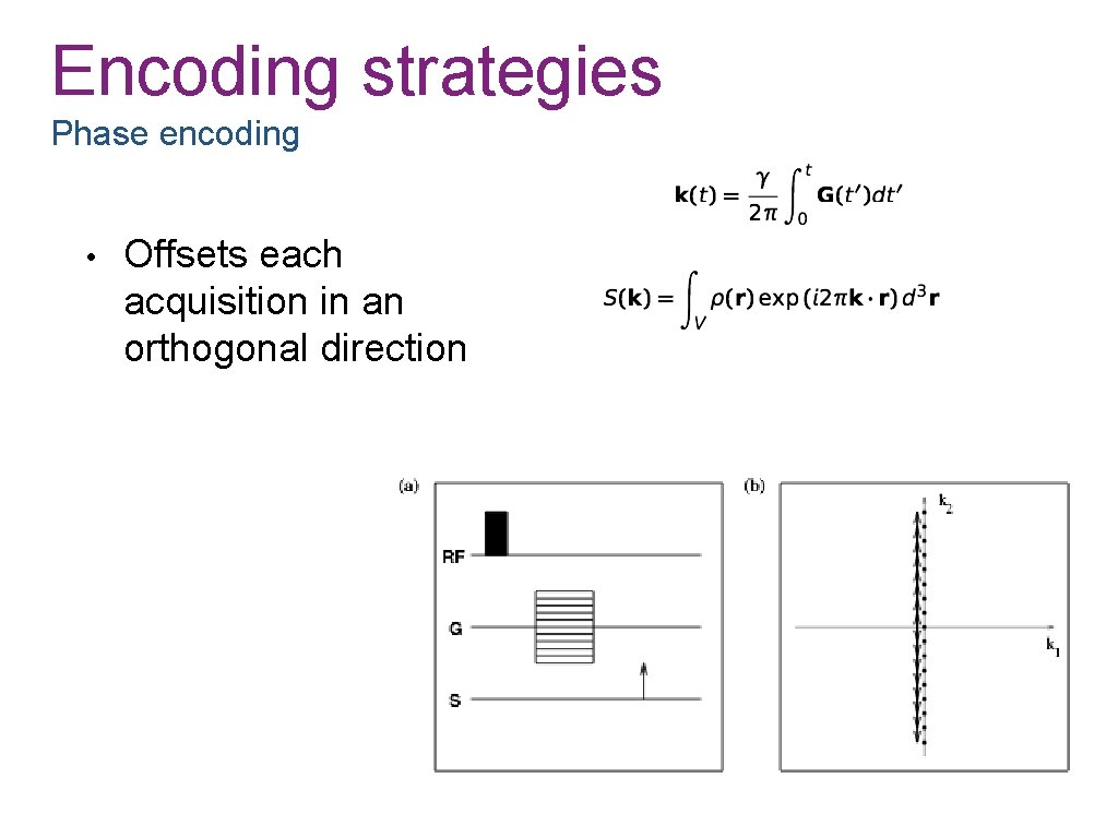 Encoding strategies Phase encoding • Offsets each acquisition in an orthogonal direction 