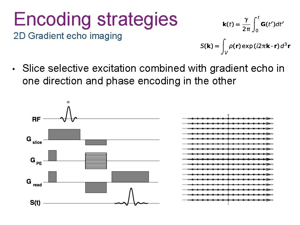 Encoding strategies 2 D Gradient echo imaging • Slice selective excitation combined with gradient