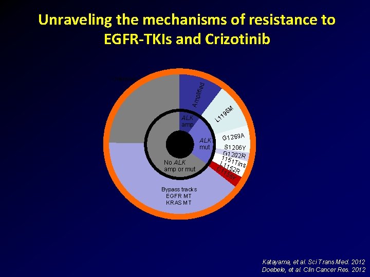 Unraveling the mechanisms of resistance to EGFR-TKIs and Crizotinib Amp lified Unknown ALK amp
