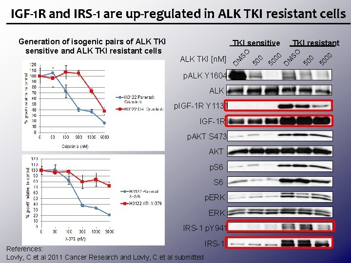 IGF-1 R and IRS-1 are up-regulated in ALK TKI resistant cells p. ALK Y