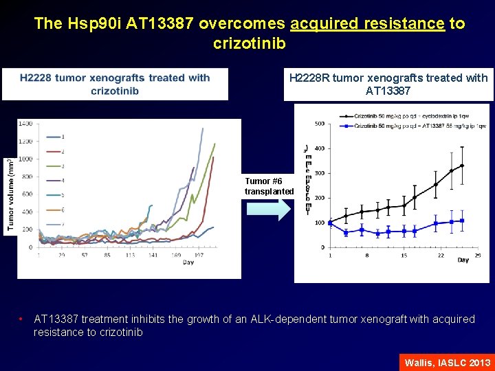 The Hsp 90 i AT 13387 overcomes acquired resistance to crizotinib H 2228 R