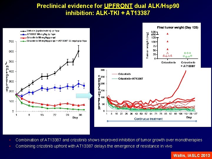 Preclinical evidence for UPFRONT dual ALK/Hsp 90 inhibition: ALK-TKI + AT 13387 • •
