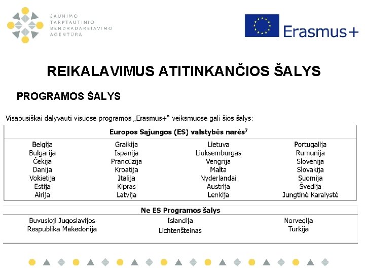 REIKALAVIMUS ATITINKANČIOS ŠALYS PROGRAMOS ŠALYS 