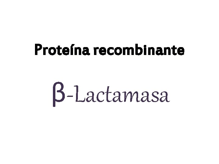 Proteína recombinante β-Lactamasa 
