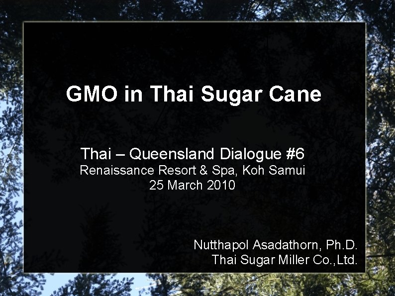 GMO in Thai Sugar Cane Thai – Queensland Dialogue #6 Renaissance Resort & Spa,