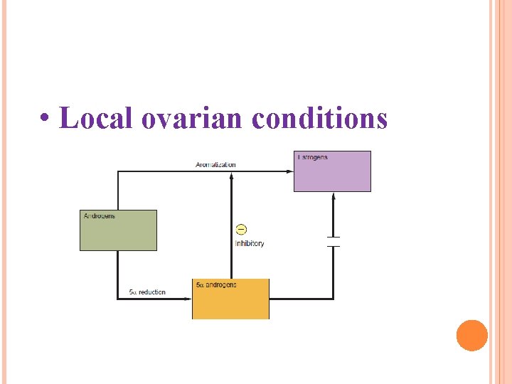  • Local ovarian conditions 