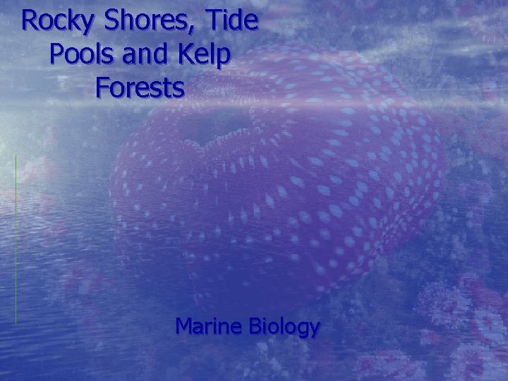Rocky Shores, Tide Pools and Kelp Forests Marine Biology 