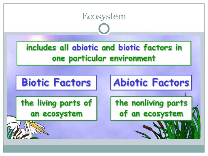 Esssential Question HOW DO LIVING AND NONLIVING PARTS