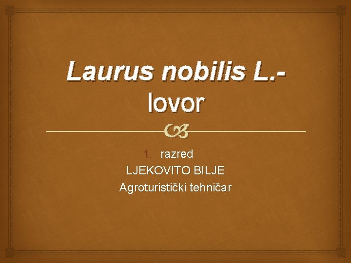 Laurus nobilis L. lovor 1. razred LJEKOVITO BILJE Agroturistički tehničar 