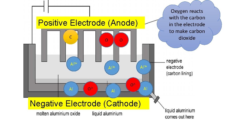 Oxygen reacts with the carbon in the electrode to make carbon dioxide Positive Electrode