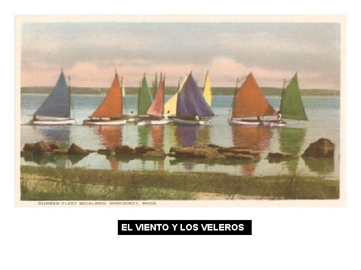 EL VIENTO Y LOS VELEROS 