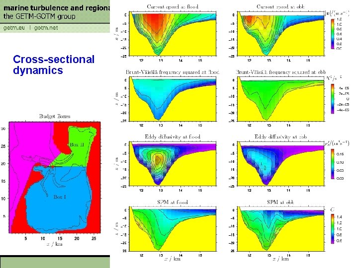 Cross-sectional dynamics 