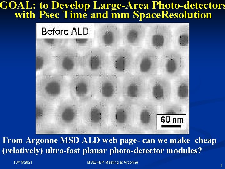 GOAL to Develop LargeArea Photodetectors with Psec Time