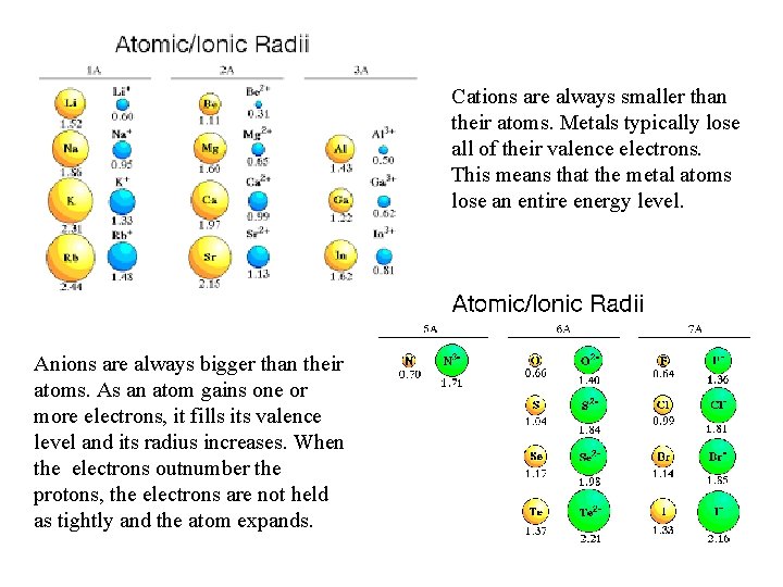 Cations are always smaller than their atoms. Metals typically lose all of their valence