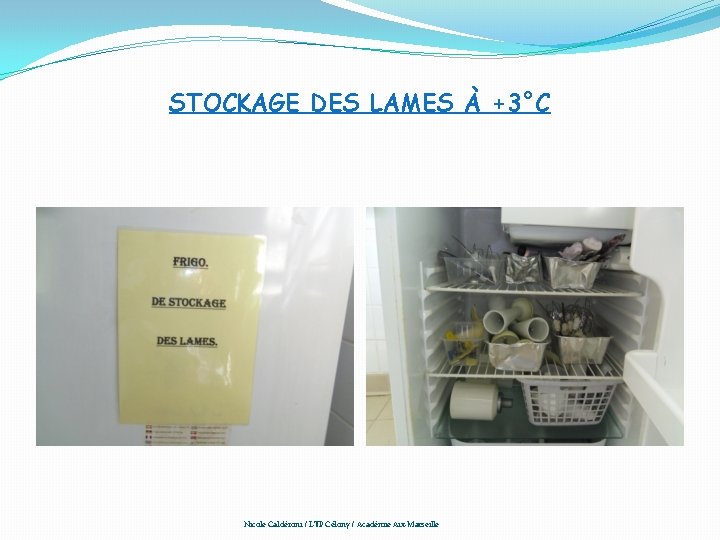 STOCKAGE DES LAMES À +3°C Nicole Caldéroni / LTP Célony / Académie Aix-Marseille 