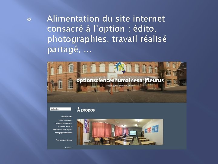 v Alimentation du site internet consacré à l’option : édito, photographies, travail réalisé partagé,