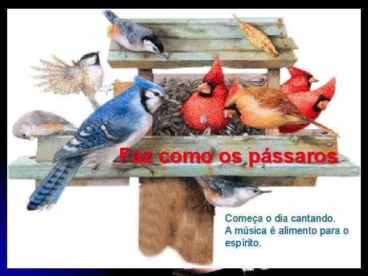 Faz como os pássaros Começa o dia cantando. A música é alimento para o