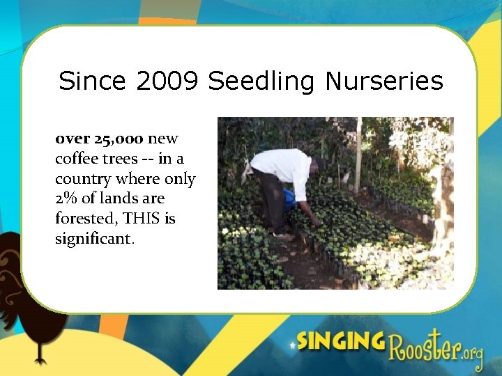 Since 2009 Seedling Nurseries over 25, 000 new coffee trees -- in a country