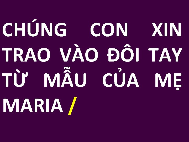 CHÚNG CON XIN TRAO VÀO ĐÔI TAY TỪ MẪU CỦA MẸ MARIA / 