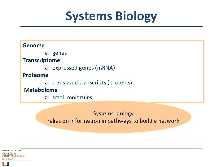 Systems Biology Genome all genes Transcriptome all expressed genes (m. RNA) Proteome all translated