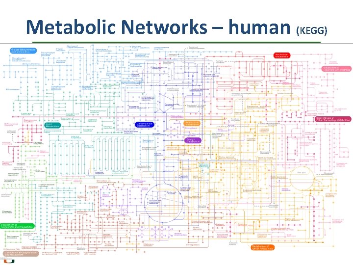 Metabolic Networks – human (KEGG) 