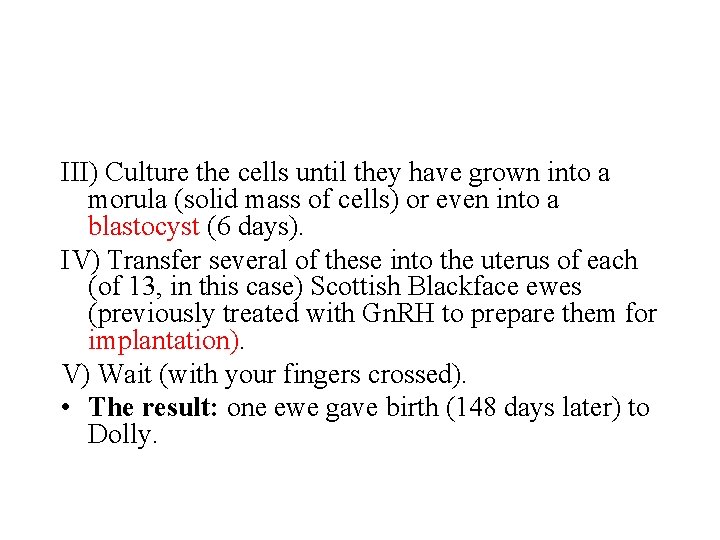 III) Culture the cells until they have grown into a morula (solid mass of
