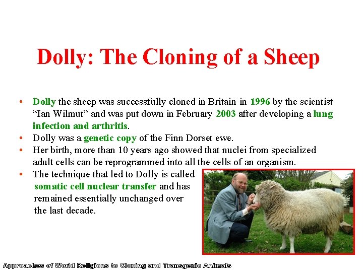 Dolly: The Cloning of a Sheep • Dolly the sheep was successfully cloned in