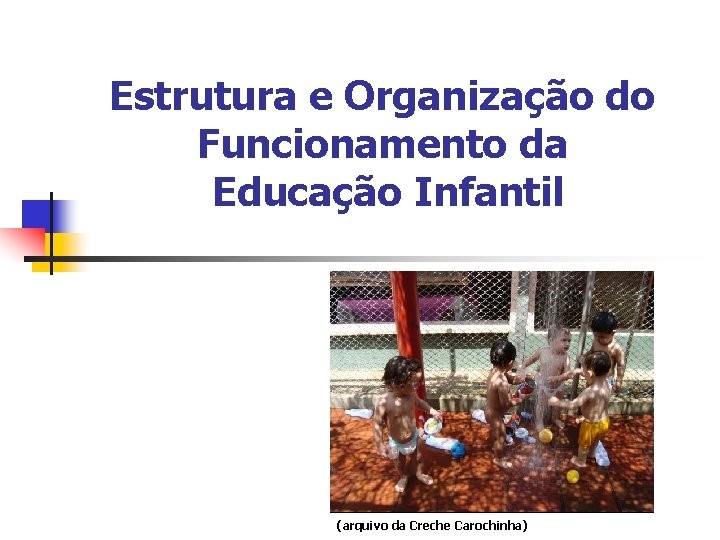 Estrutura e Organização do Funcionamento da Educação Infantil (arquivo da Creche Carochinha) 