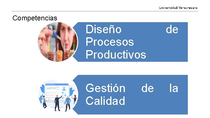 Competencias Diseño Procesos Productivos Gestión Calidad de de la 