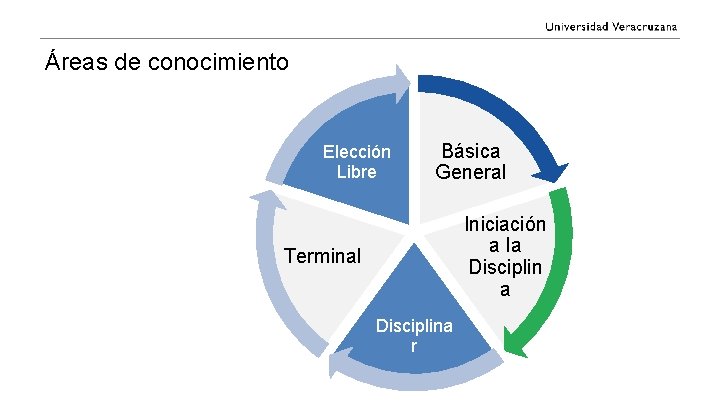 Áreas de conocimiento Elección Libre Básica General Iniciación a la Disciplin a Terminal Disciplina