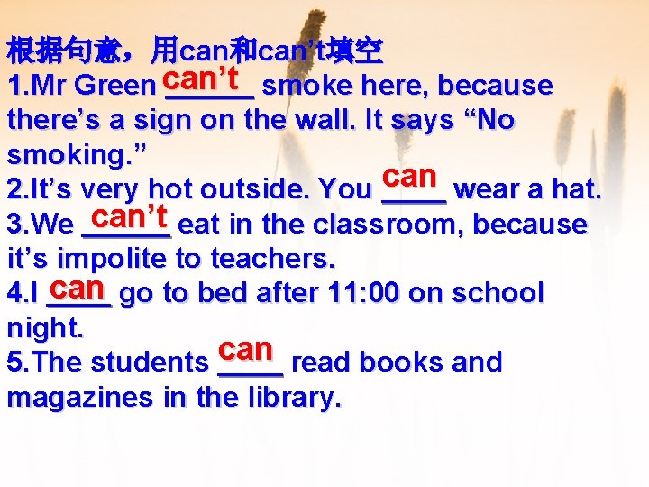 根据句意，用can和can’t填空 1. Mr Green can’t smoke here, because there’s a sign on the wall.