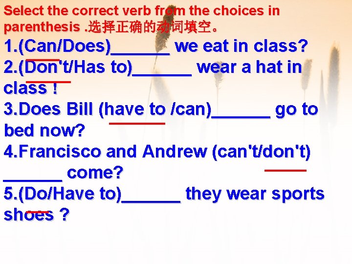 Select the correct verb from the choices in parenthesis. 选择正确的动词填空。 1. (Can/Does)______ we eat