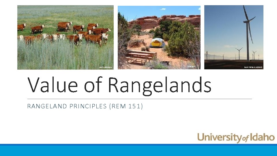 NRCS USDA. gov BLM. gov Value of Rangelands RANGELAND PRINCIPLES (REM 151) Scott Flaherty