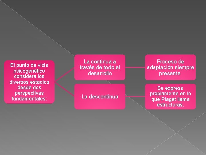 El punto de vista psicogenético considera los diversos estadios desde dos perspectivas fundamentales: La
