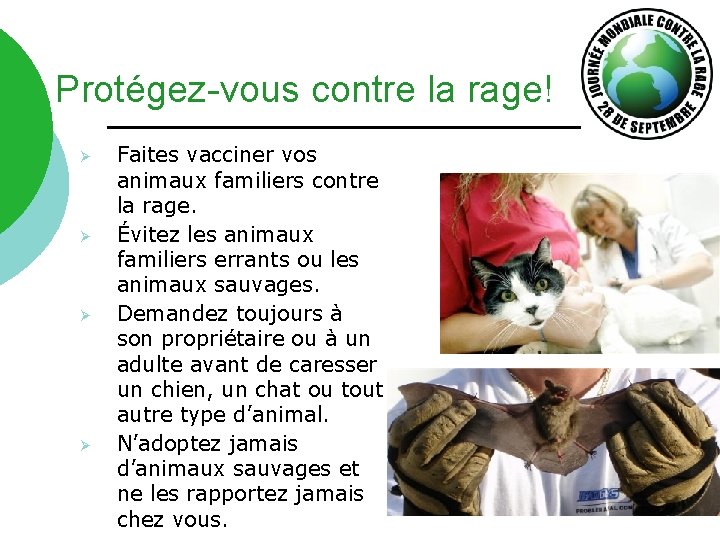 Protégez-vous contre la rage! Ø Ø Faites vacciner vos animaux familiers contre la rage.