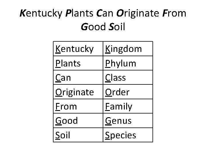 Kentucky Plants Can Originate From Good Soil Kingdom Phylum Class Order Family Genus Species