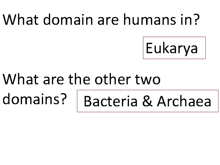 What domain are humans in? Eukarya What are the other two domains? Bacteria &
