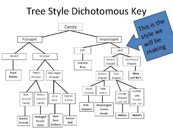 Tree Style Dichotomous Key e h t is s i h T e w