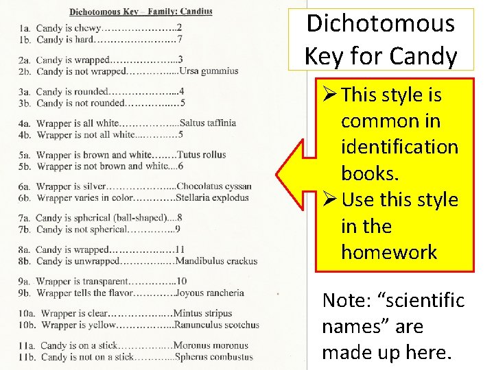 Dichotomous Key for Candy Ø This style is common in identification books. Ø Use