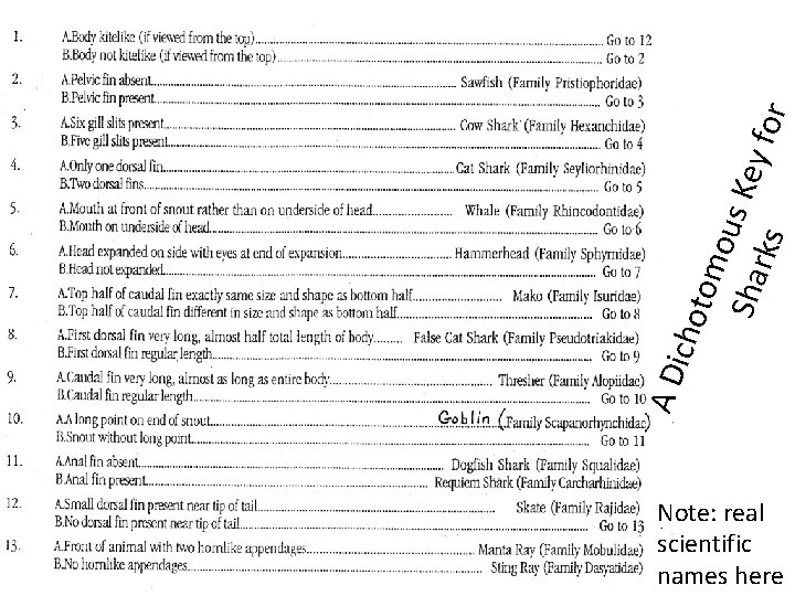 tom ous Key Sha rks for icho AD Note: real scientific names here 