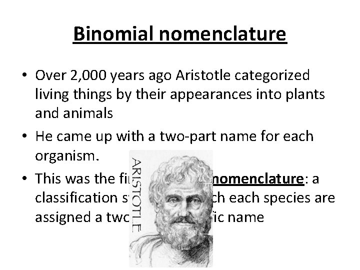 Binomial nomenclature • Over 2, 000 years ago Aristotle categorized living things by their