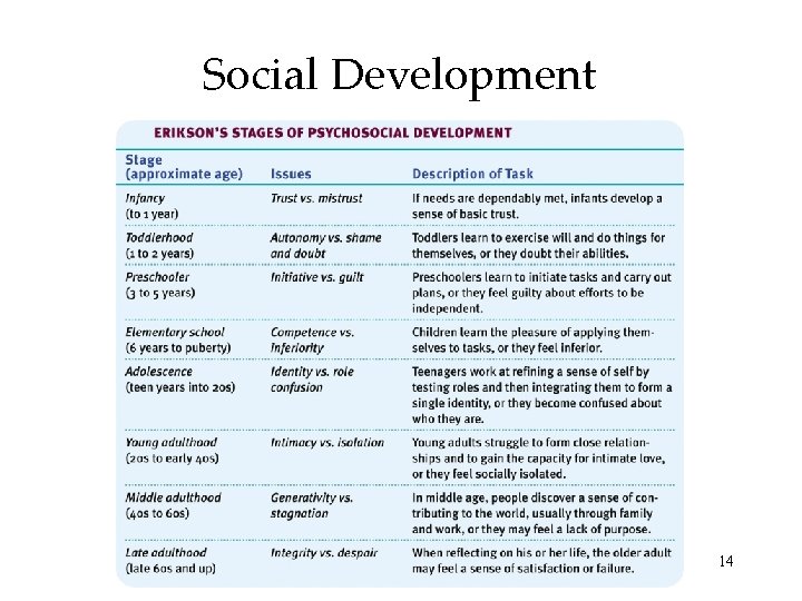 Social Development 14 