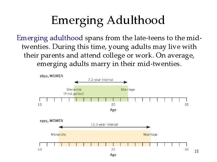 Emerging Adulthood Emerging adulthood spans from the late-teens to the midtwenties. During this time,