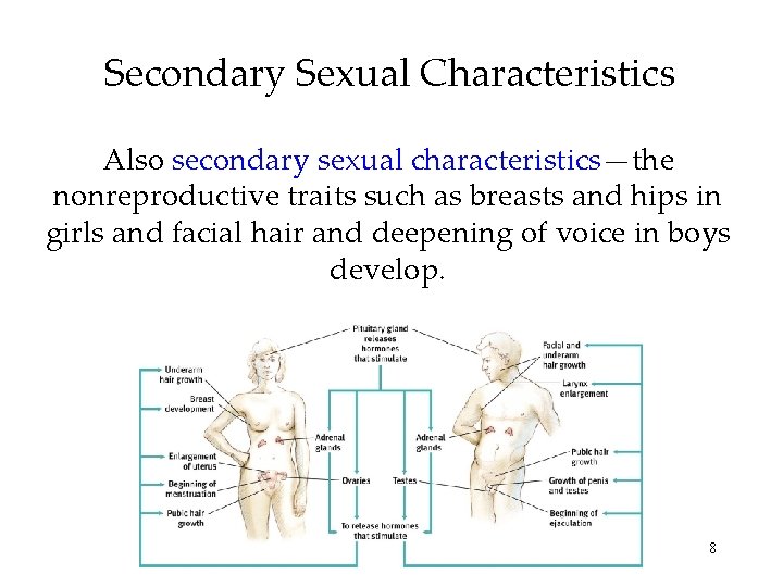 Secondary Sexual Characteristics Also secondary sexual characteristics—the nonreproductive traits such as breasts and hips