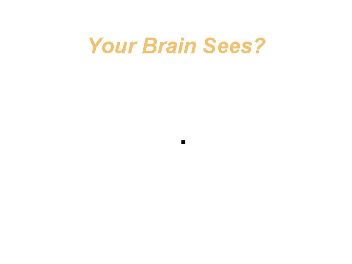 Your Brain Sees? . 